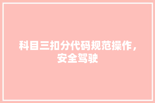 科目三扣分代码规范操作，安全驾驶