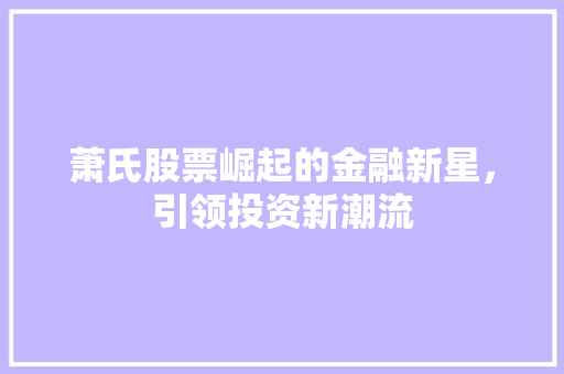 萧氏股票崛起的金融新星，引领投资新潮流