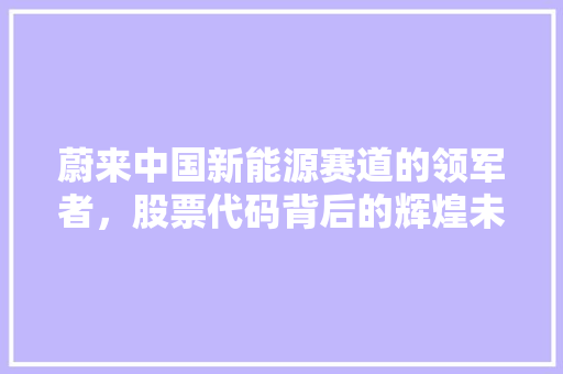蔚来中国新能源赛道的领军者，股票代码背后的辉煌未来