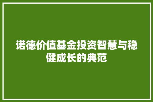诺德价值基金投资智慧与稳健成长的典范