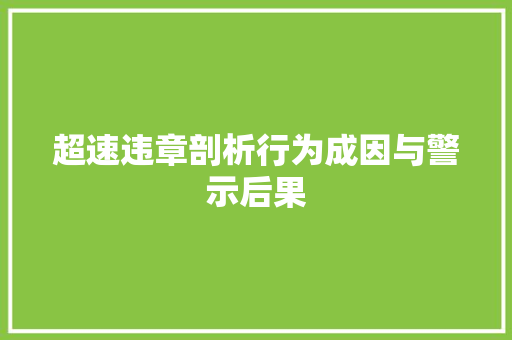 超速违章剖析行为成因与警示后果