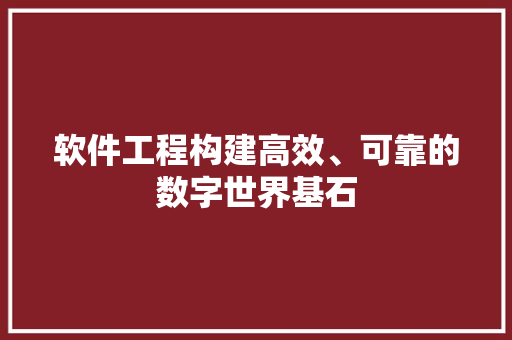 软件工程构建高效、可靠的数字世界基石