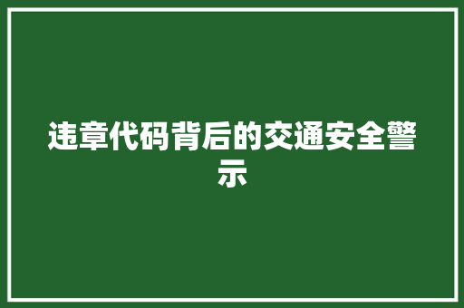 违章代码背后的交通安全警示