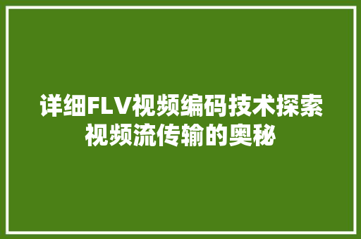 详细FLV视频编码技术探索视频流传输的奥秘