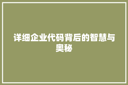 详细企业代码背后的智慧与奥秘