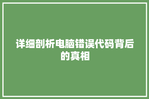 详细剖析电脑错误代码背后的真相