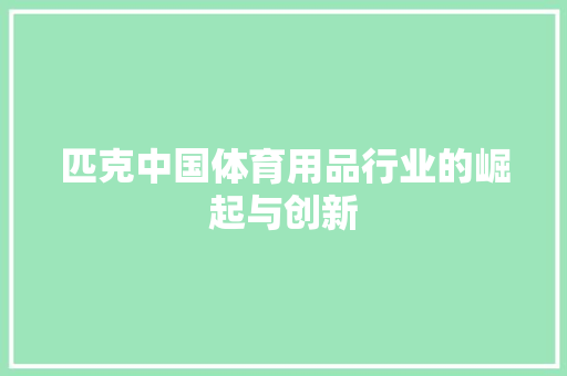 匹克中国体育用品行业的崛起与创新