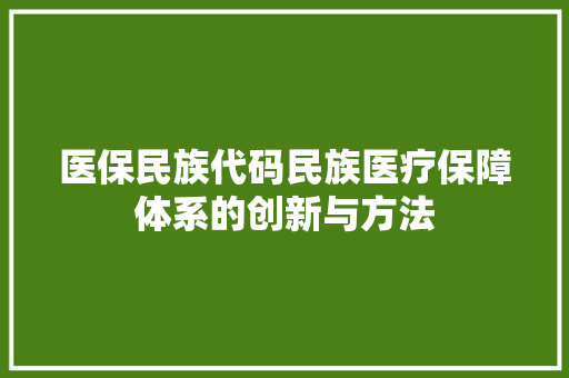 医保民族代码民族医疗保障体系的创新与方法
