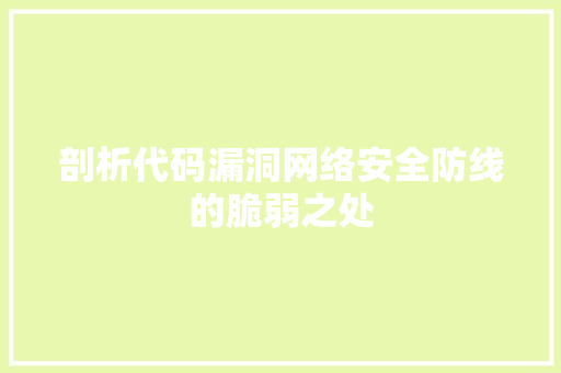 剖析代码漏洞网络安全防线的脆弱之处
