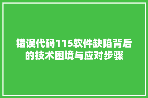错误代码115软件缺陷背后的技术困境与应对步骤