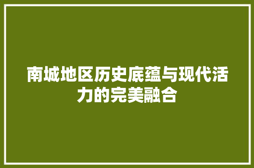 南城地区历史底蕴与现代活力的完美融合