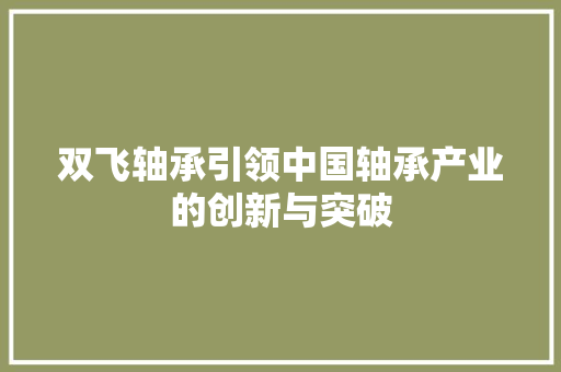 双飞轴承引领中国轴承产业的创新与突破