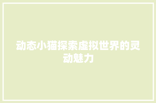 动态小猫探索虚拟世界的灵动魅力