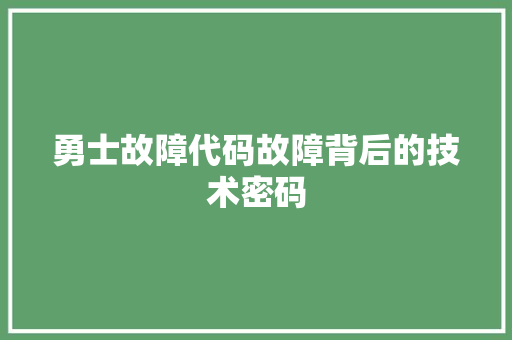 勇士故障代码故障背后的技术密码