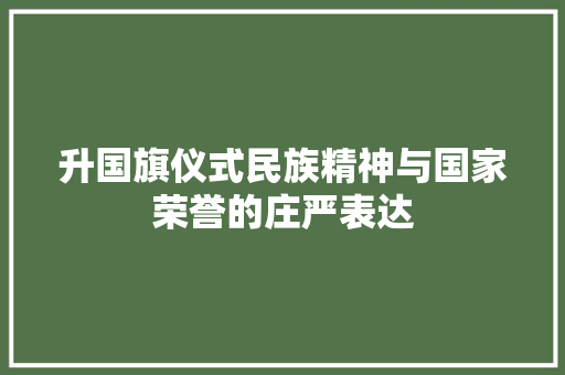 升国旗仪式民族精神与国家荣誉的庄严表达