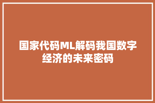 国家代码ML解码我国数字经济的未来密码