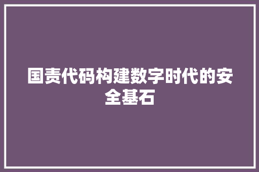 国责代码构建数字时代的安全基石