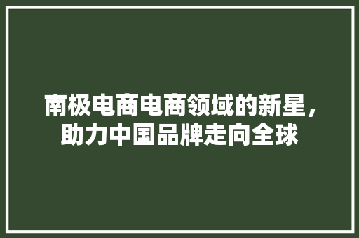 南极电商电商领域的新星，助力中国品牌走向全球