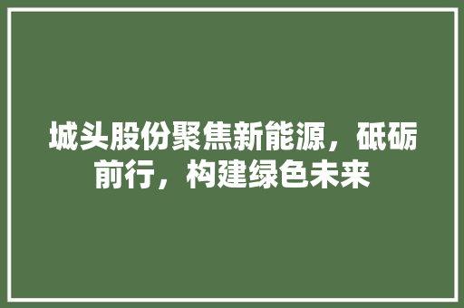 城头股份聚焦新能源，砥砺前行，构建绿色未来
