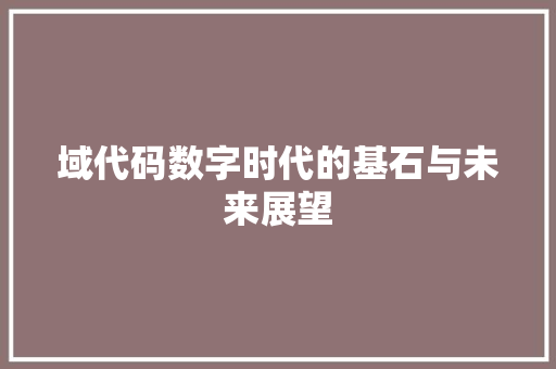 域代码数字时代的基石与未来展望