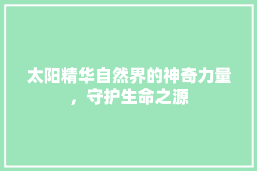 太阳精华自然界的神奇力量，守护生命之源