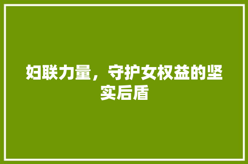 妇联力量，守护女权益的坚实后盾