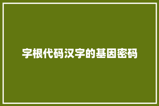 字根代码汉字的基因密码