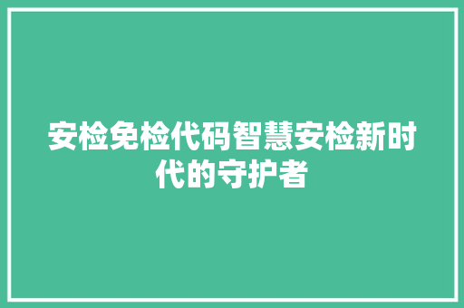安检免检代码智慧安检新时代的守护者