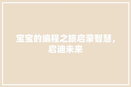 宝宝的编程之旅启蒙智慧，启迪未来