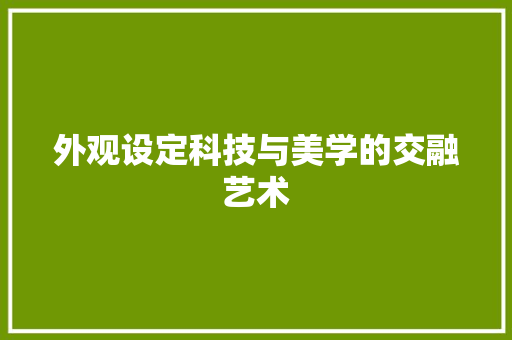 外观设定科技与美学的交融艺术