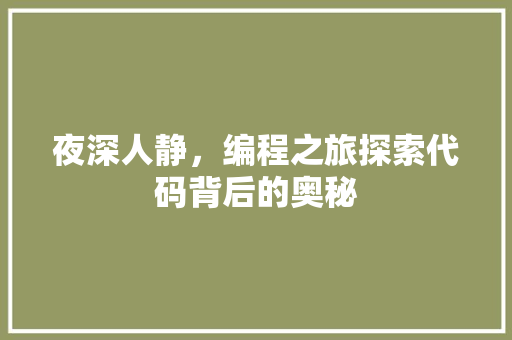夜深人静，编程之旅探索代码背后的奥秘