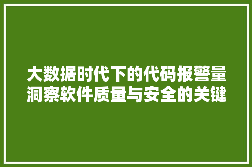 大数据时代下的代码报警量洞察软件质量与安全的关键指标