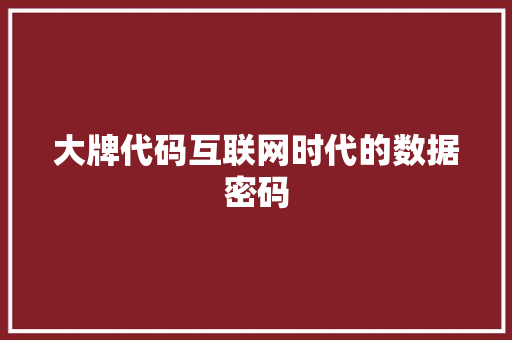 大牌代码互联网时代的数据密码