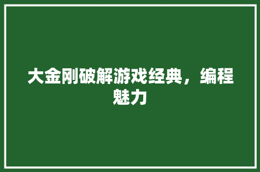 大金刚破解游戏经典，编程魅力
