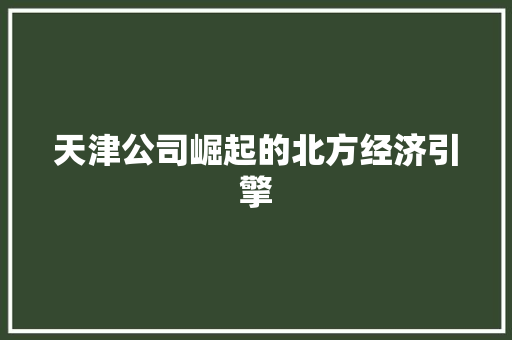 天津公司崛起的北方经济引擎