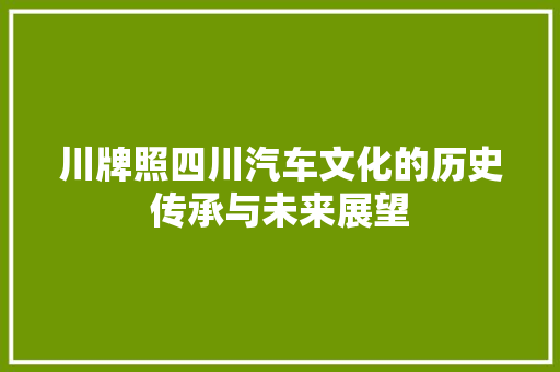 川牌照四川汽车文化的历史传承与未来展望