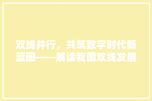 双线并行，共筑数字时代新蓝图——解读我国双线发展战略