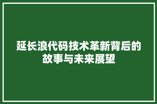 延长浪代码技术革新背后的故事与未来展望