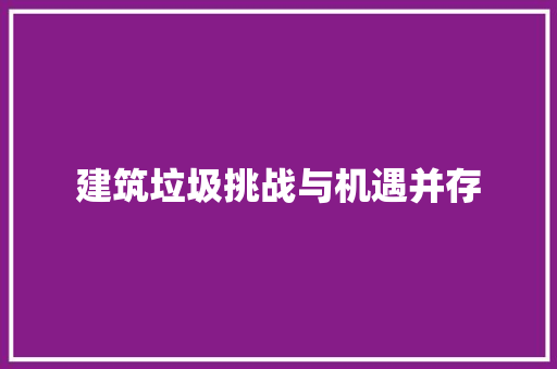 建筑垃圾挑战与机遇并存