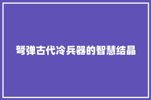 弩弹古代冷兵器的智慧结晶