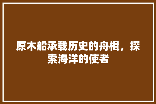 原木船承载历史的舟楫，探索海洋的使者