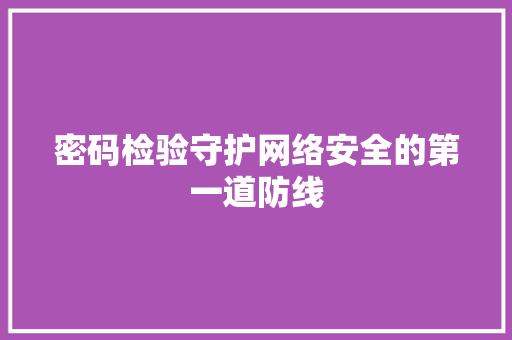 密码检验守护网络安全的第一道防线