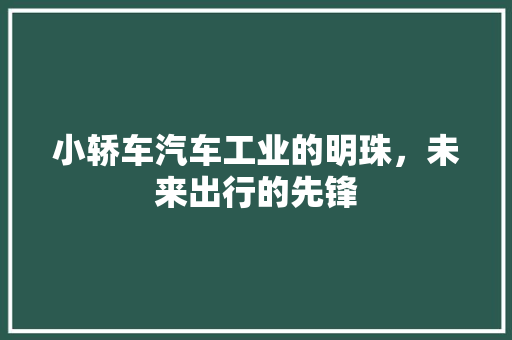 小轿车汽车工业的明珠，未来出行的先锋