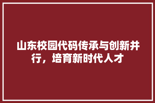 山东校园代码传承与创新并行，培育新时代人才