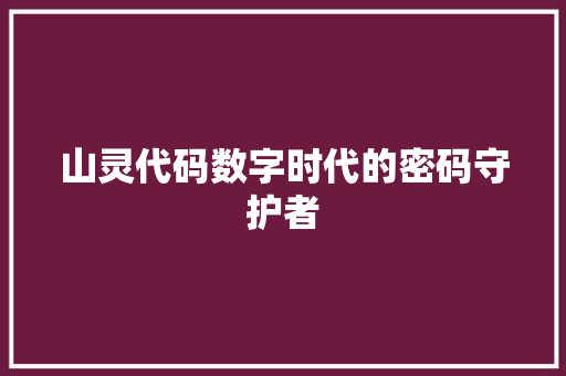 山灵代码数字时代的密码守护者