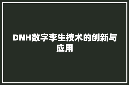 DNH数字孪生技术的创新与应用