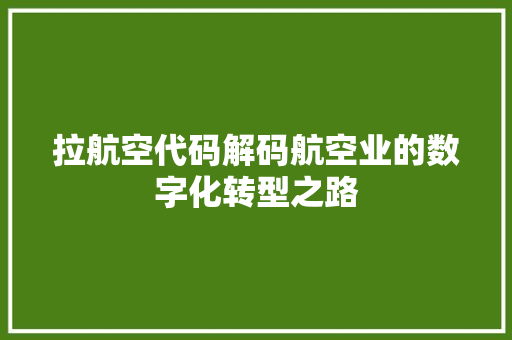 拉航空代码解码航空业的数字化转型之路