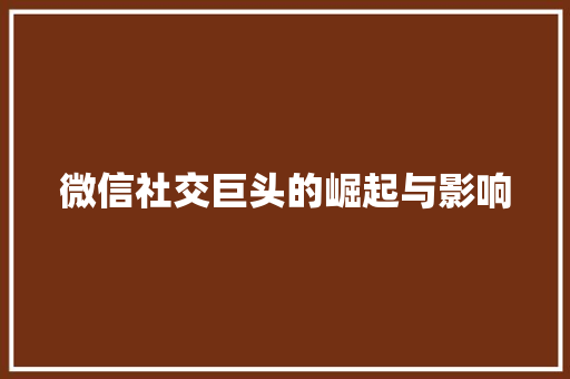 微信社交巨头的崛起与影响