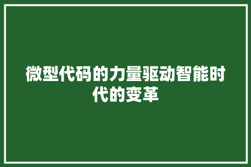 微型代码的力量驱动智能时代的变革