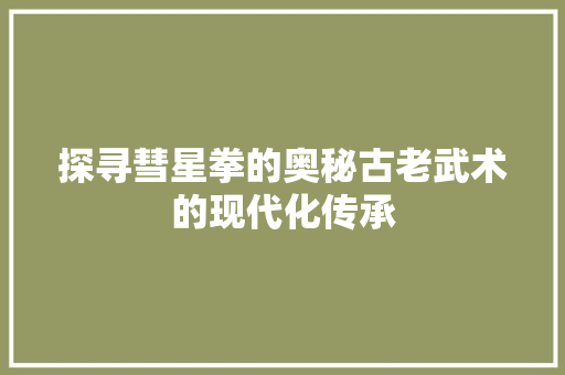 探寻彗星拳的奥秘古老武术的现代化传承